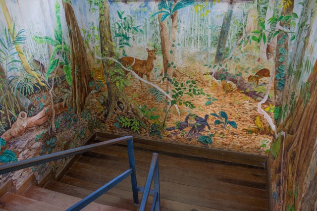 Biodiversity centre