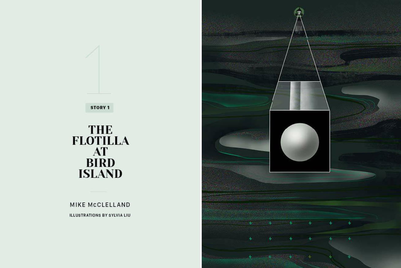 Flotilla at Bird Island